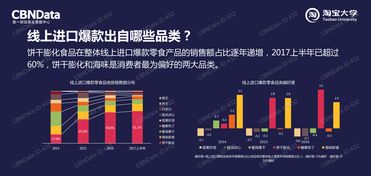 中國(guó)市場(chǎng)互聯(lián)網(wǎng)數(shù)據(jù)資訊中心199it數(shù)據(jù)處理服務(wù)的深度解析