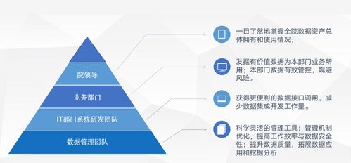 標(biāo)準(zhǔn)信息公共服務(wù)數(shù)據(jù)治理實(shí)踐 某市標(biāo)準(zhǔn)技術(shù)研究院軟件開(kāi)發(fā)項(xiàng)目的深度解析